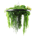Black Framed Roof Hanging Disc With Draping Life-Like Ferns and Plants UV Resistant Large